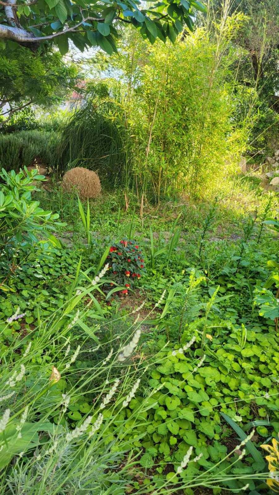 Apartman Padova